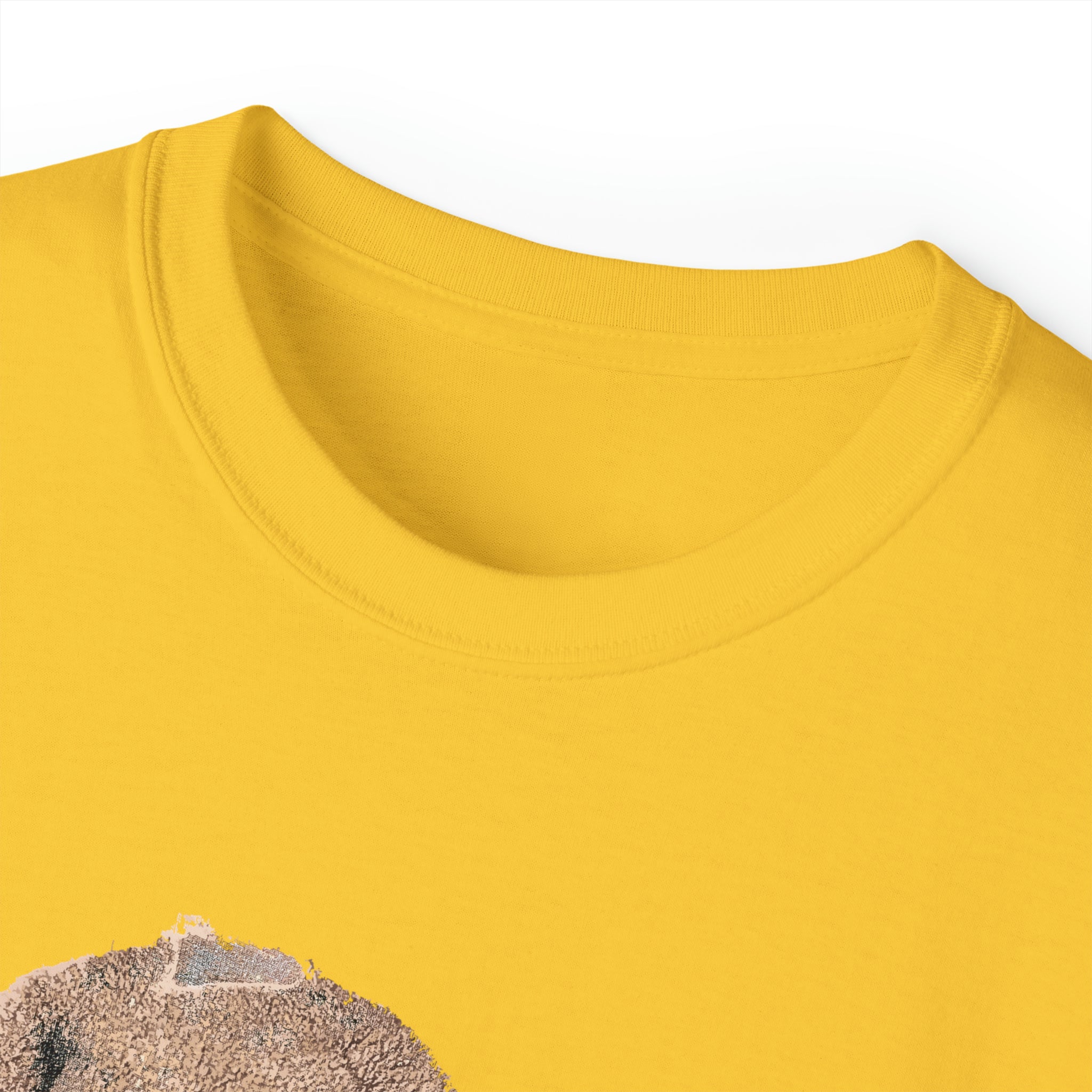 Distressed Side-Headed Teddy Tee-Bootlg