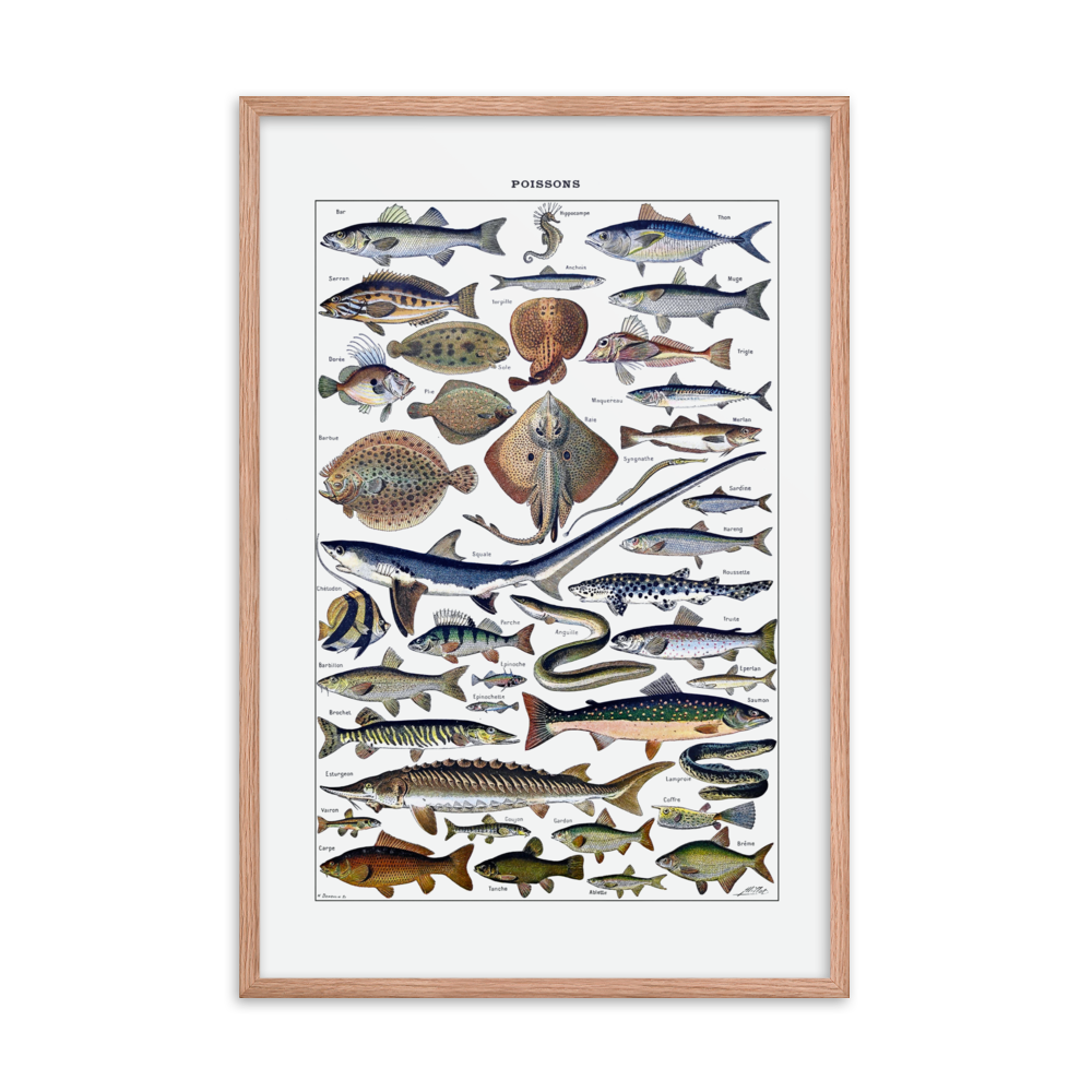 Fish print-Red Oak-24″×36″-Bootlg