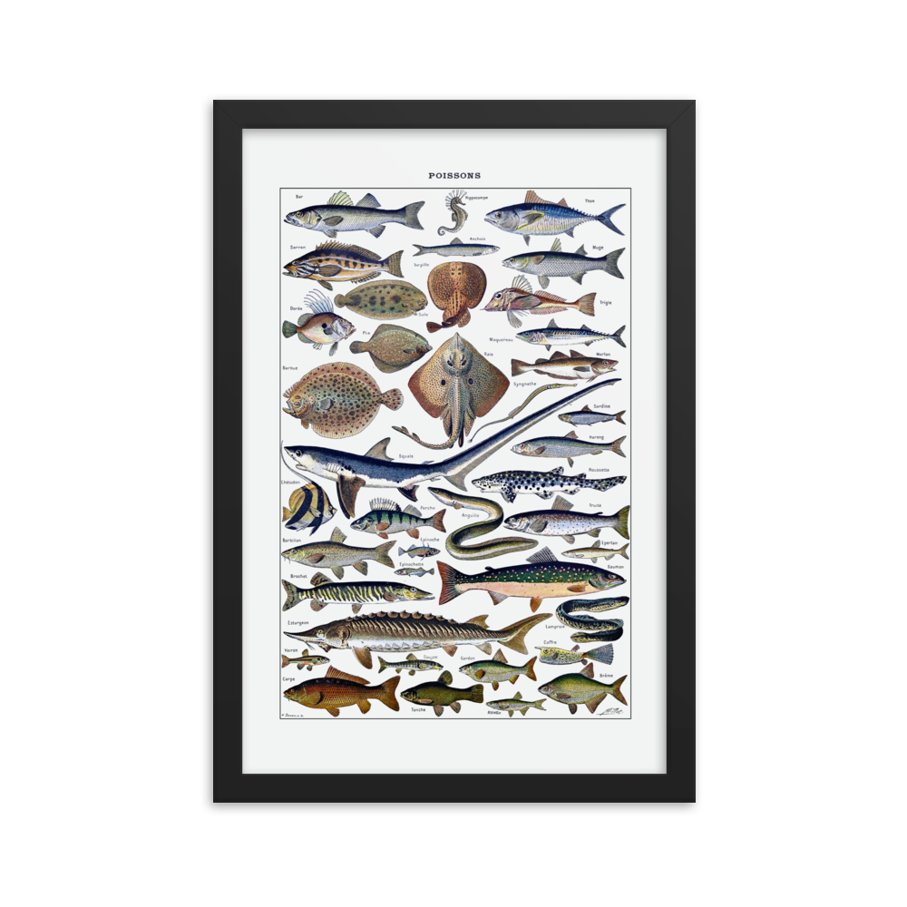 Fish print-Black-12″×18″-Bootlg