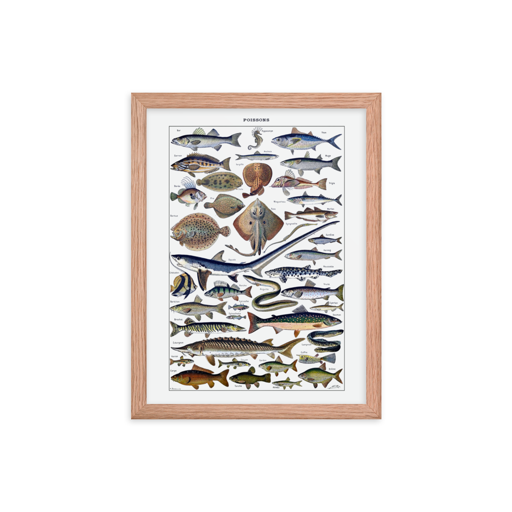 Fish print-Red Oak-12″×16″-Bootlg