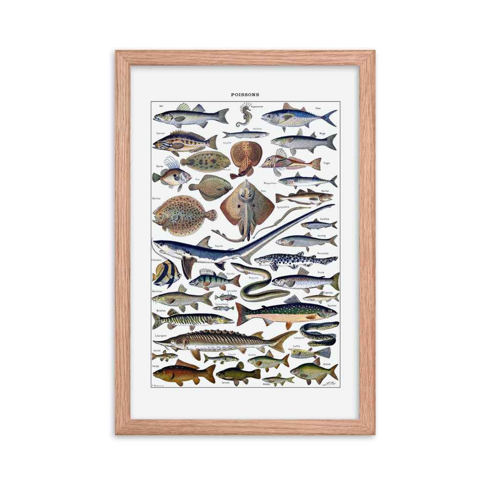 Fish print-Red Oak-12″×18″-Bootlg
