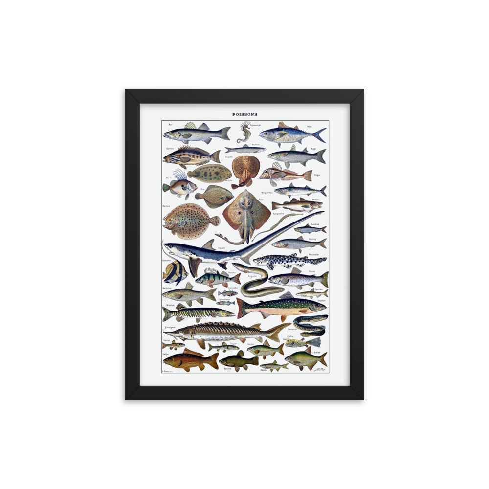 Fish print-Black-12″×16″-Bootlg