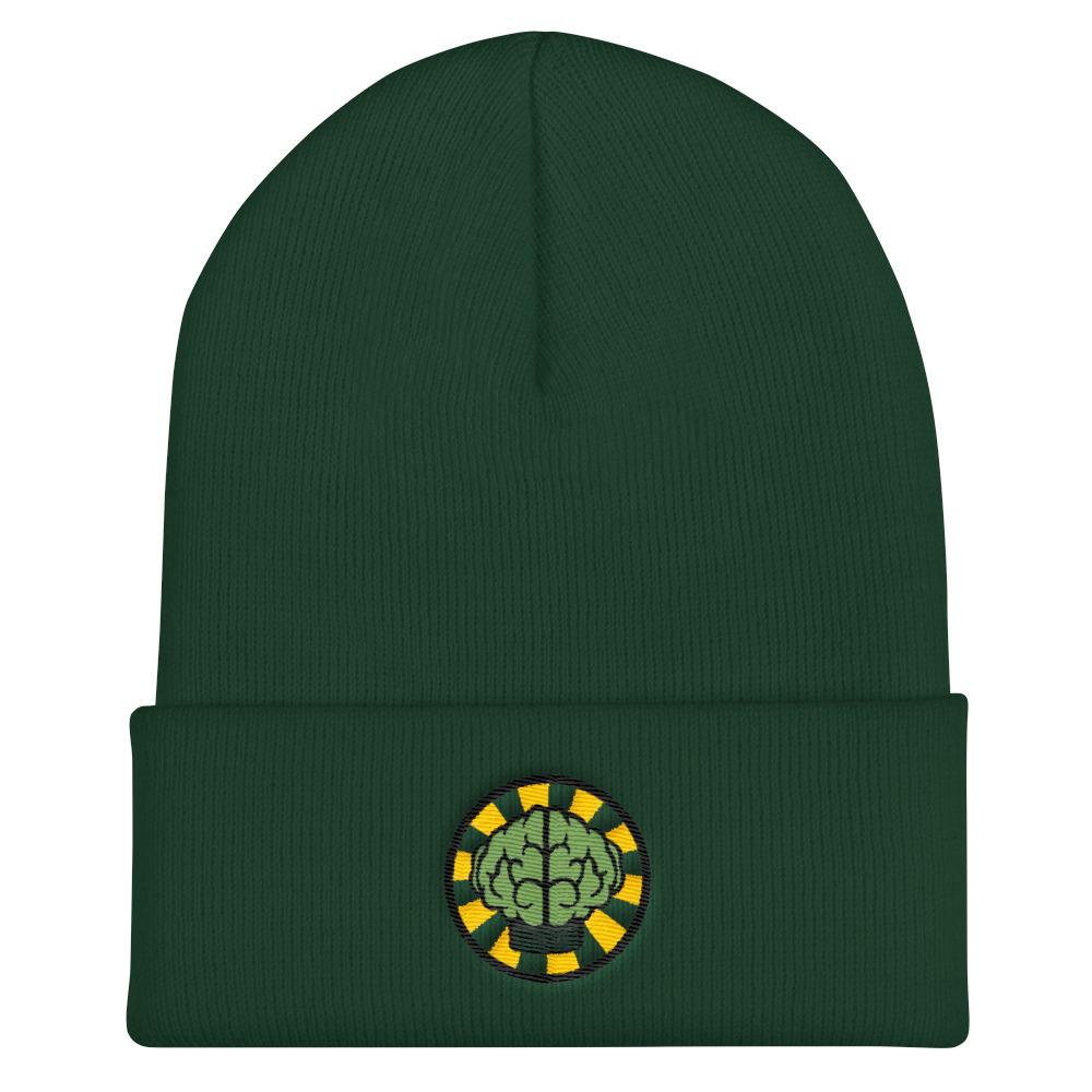 NERD Brain logo embroidery Cuffed Beanie. Pharrell Williams, Chad Hugo & Shay Haley N*E*R*D inspired-Spruce-Bootlg