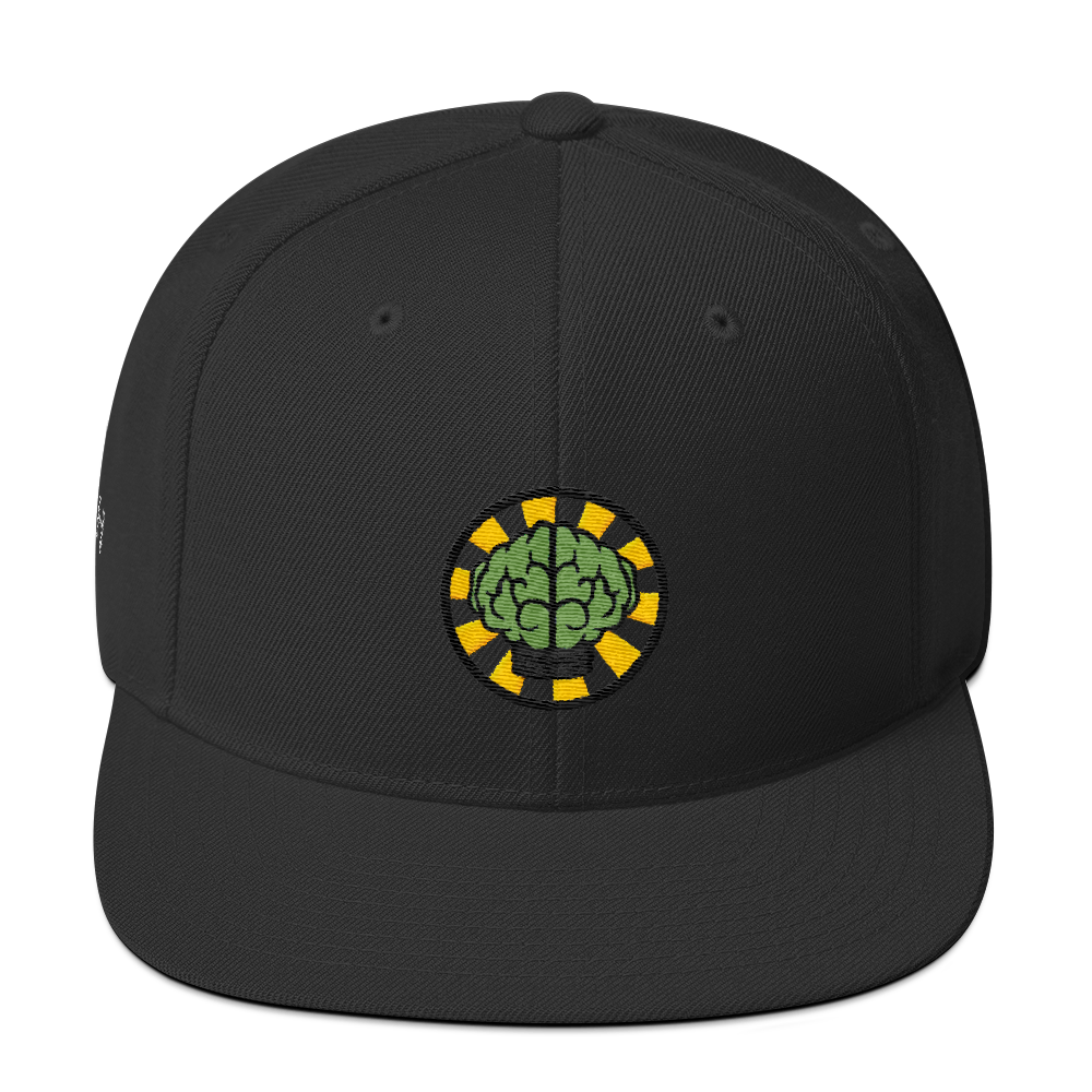 NERD Brain logo embroidery Snapback Cap. Pharrell Williams, Chad Hugo & Shay Haley.-Black-Bootlg