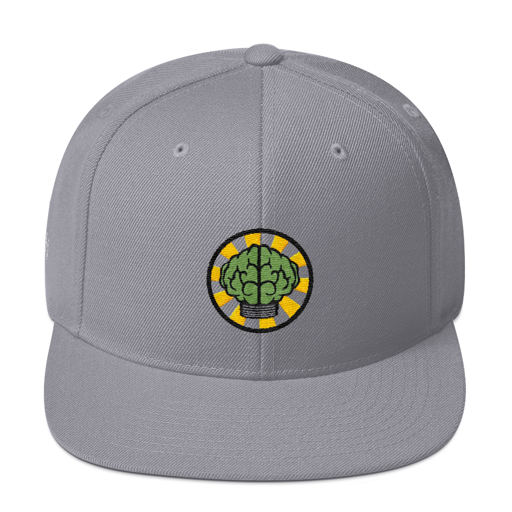 NERD Brain logo embroidery Snapback Cap. Pharrell Williams, Chad Hugo & Shay Haley.-Silver-Bootlg