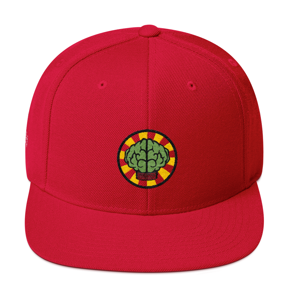 NERD Brain logo embroidery Snapback Cap. Pharrell Williams, Chad Hugo & Shay Haley.-Red-Bootlg