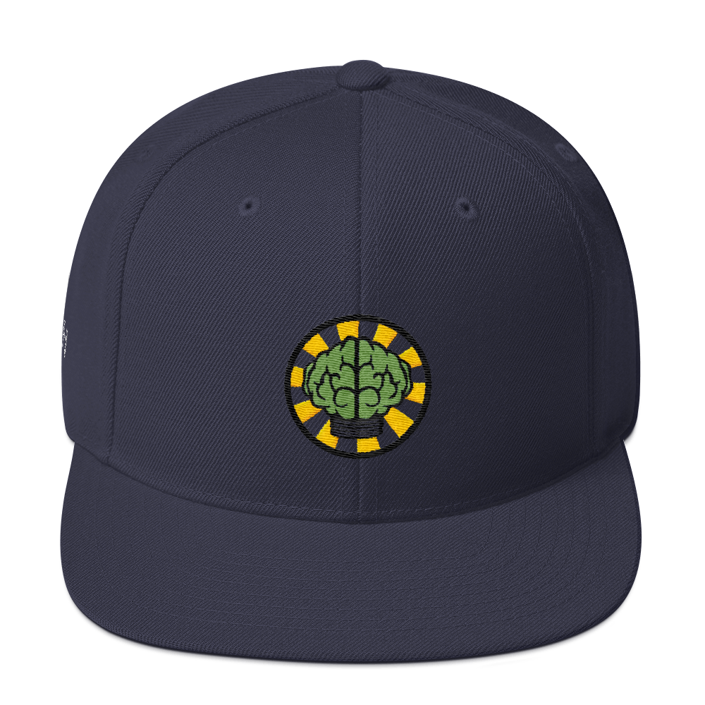 NERD Brain logo embroidery Snapback Cap. Pharrell Williams, Chad Hugo & Shay Haley.-Navy-Bootlg