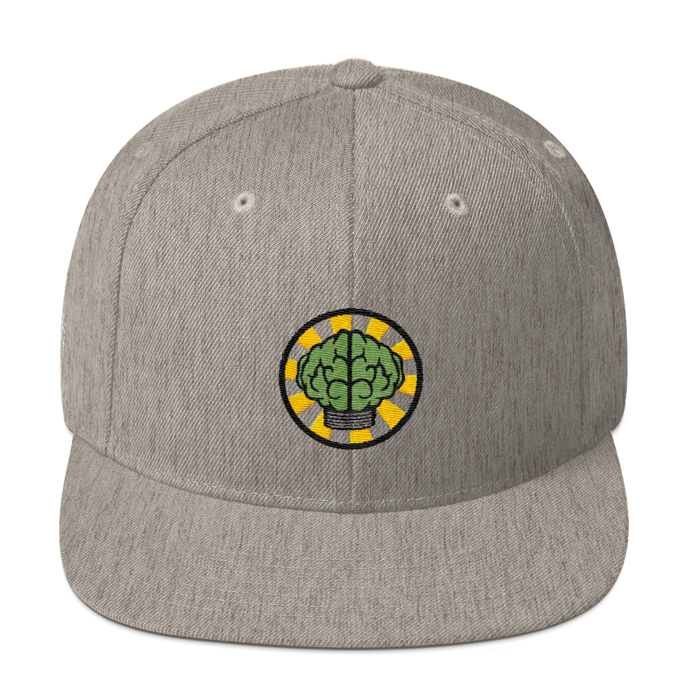 NERD Brain logo embroidery Snapback Cap. Pharrell Williams, Chad Hugo & Shay Haley.-Heather Grey-Bootlg