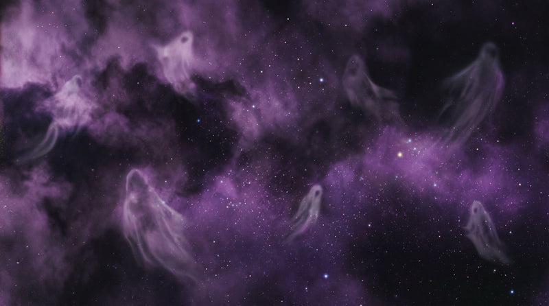 BOOTLG collection banner