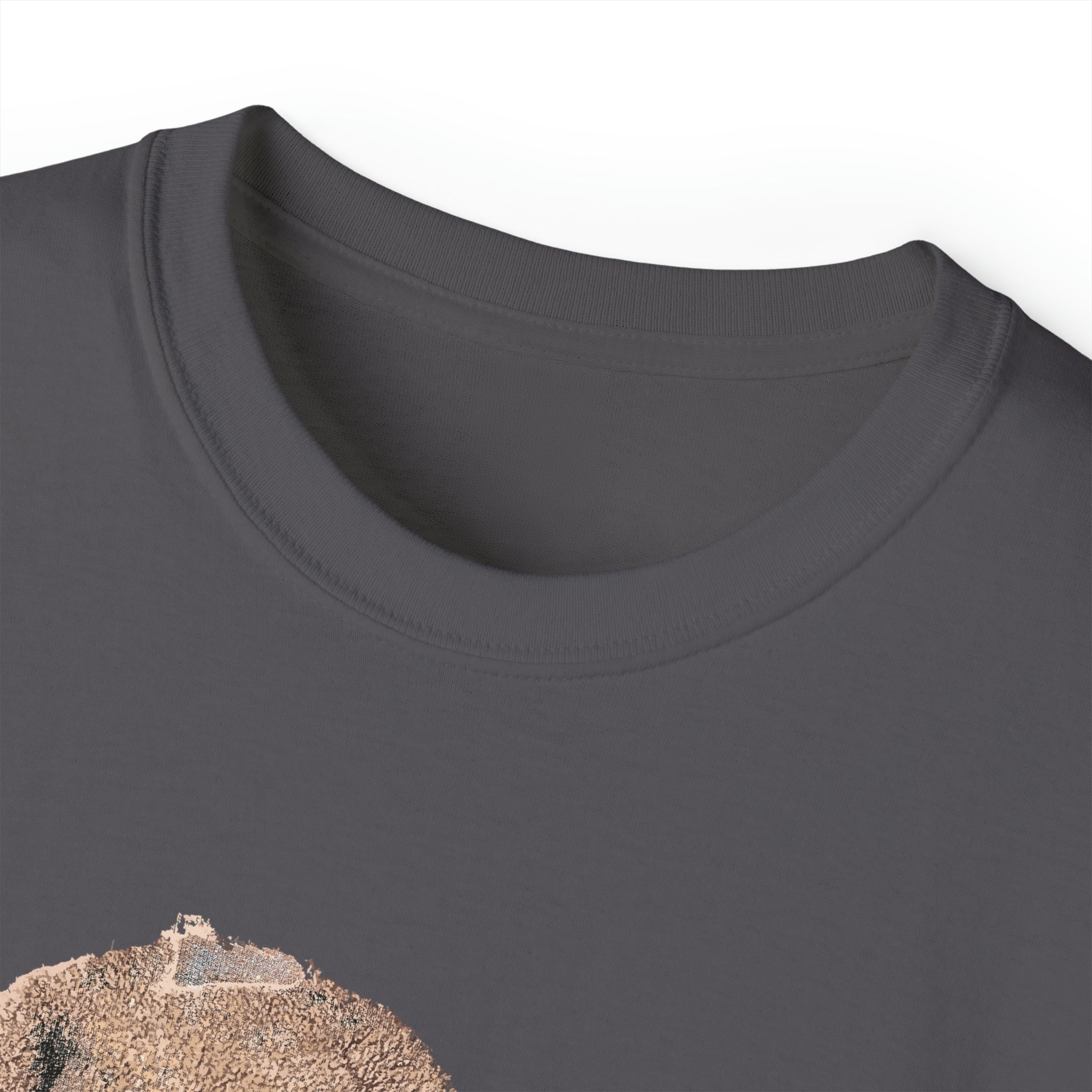 Distressed Side-Headed Teddy Tee-Bootlg