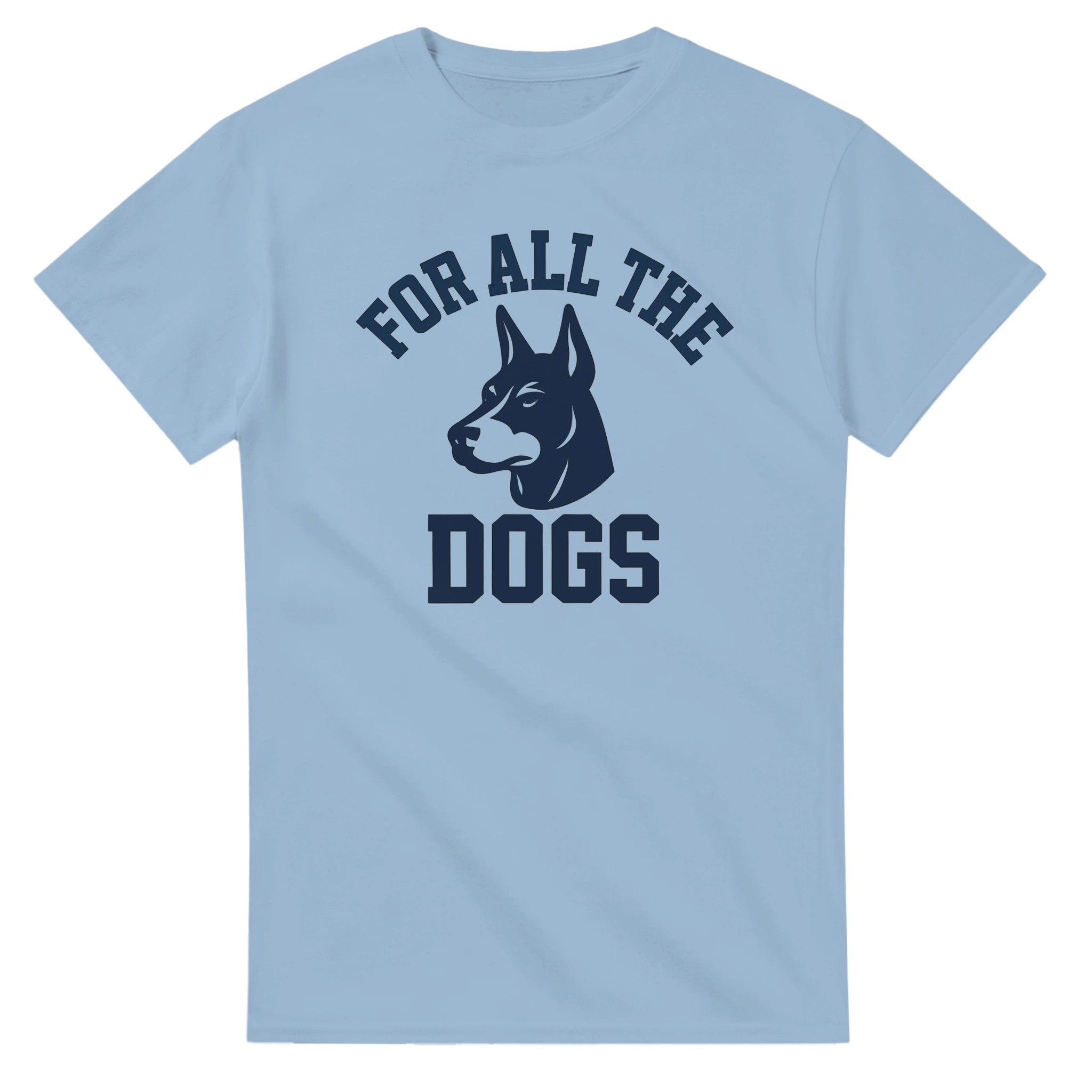 Drake 'For All The Dogs' Tour Tee-Light Blue-S-Bootlg