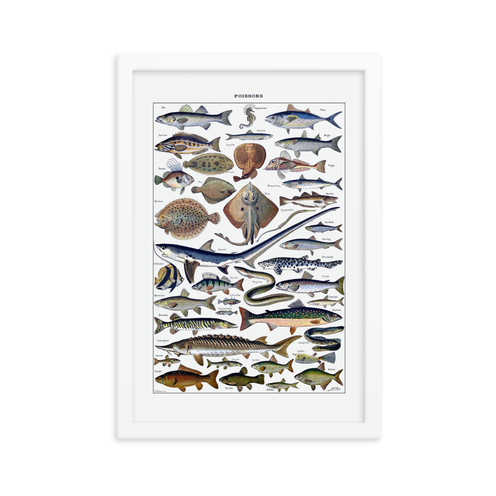 Fish print-White-12″×18″-Bootlg