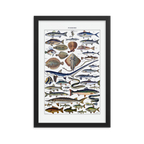 Fish print-Black-12″×18″-Bootlg