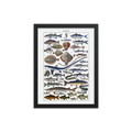 Fish print-Black-12″×16″-Bootlg