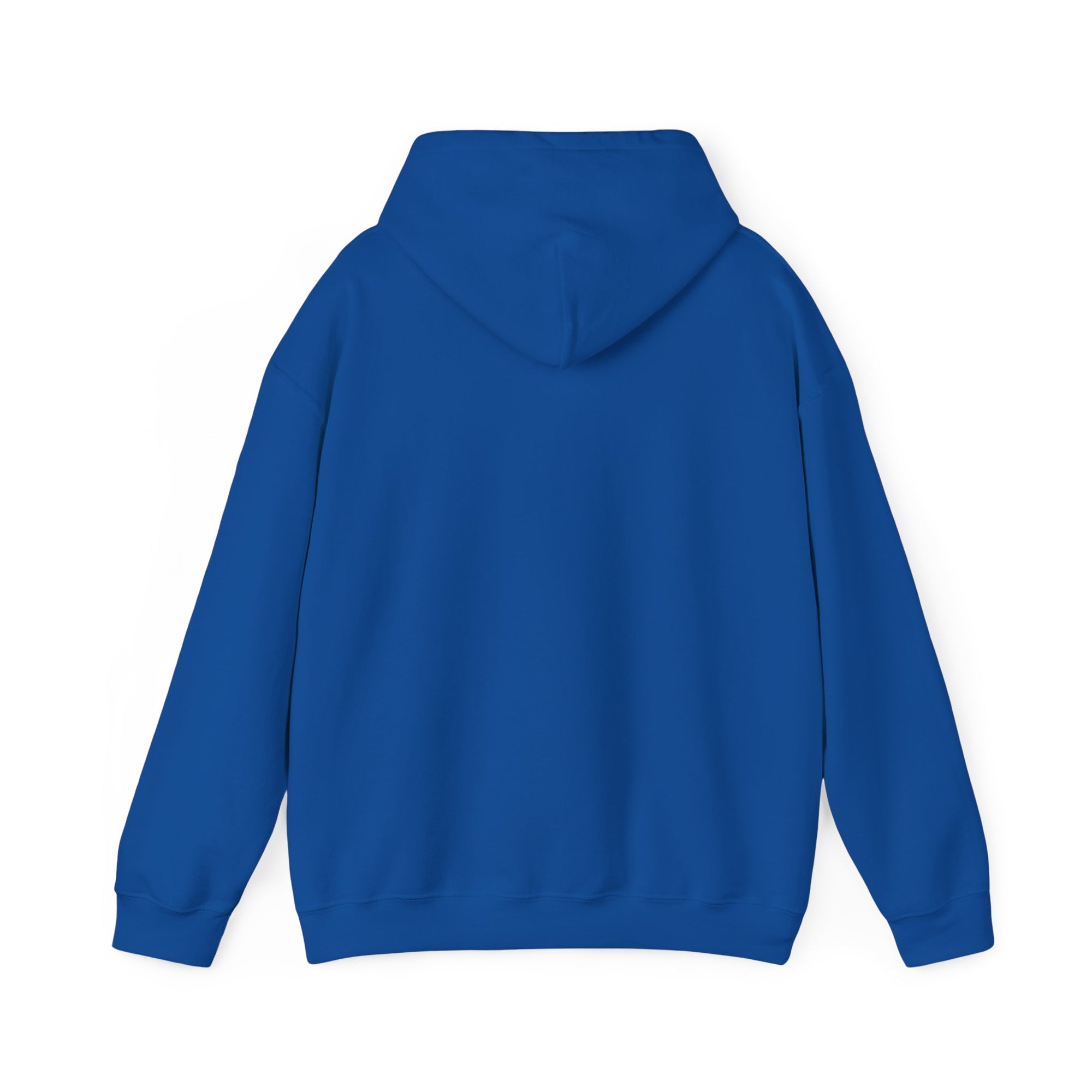 Jesus is King Kanye Sunday Service Tour Merch Hoodie-Bootlg