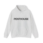 Penthouse Hoodie Sweatshirt - Inspired by Kim Kardashian Tee-Ash-S-Bootlg