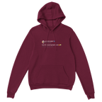 Burn That Excel Spreadsheet Hoodie-Maroon-S-Bootlg
