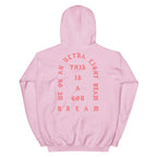 I Feel Like Pablo Paris hoodie back view in Light Pink
