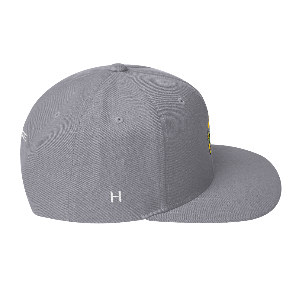 NERD Brain logo embroidery Snapback Cap. Pharrell Williams, Chad Hugo & Shay Haley.-Bootlg