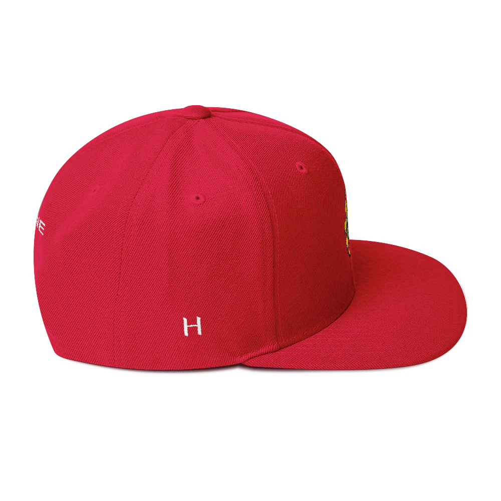 NERD Brain logo embroidery Snapback Cap. Pharrell Williams, Chad Hugo & Shay Haley.-Bootlg