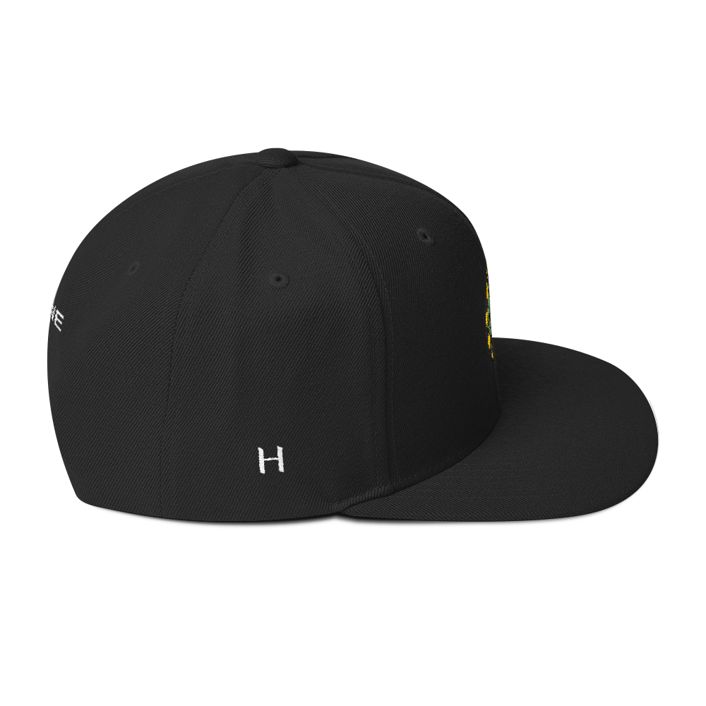NERD Brain logo embroidery Snapback Cap. Pharrell Williams, Chad Hugo & Shay Haley.-Bootlg