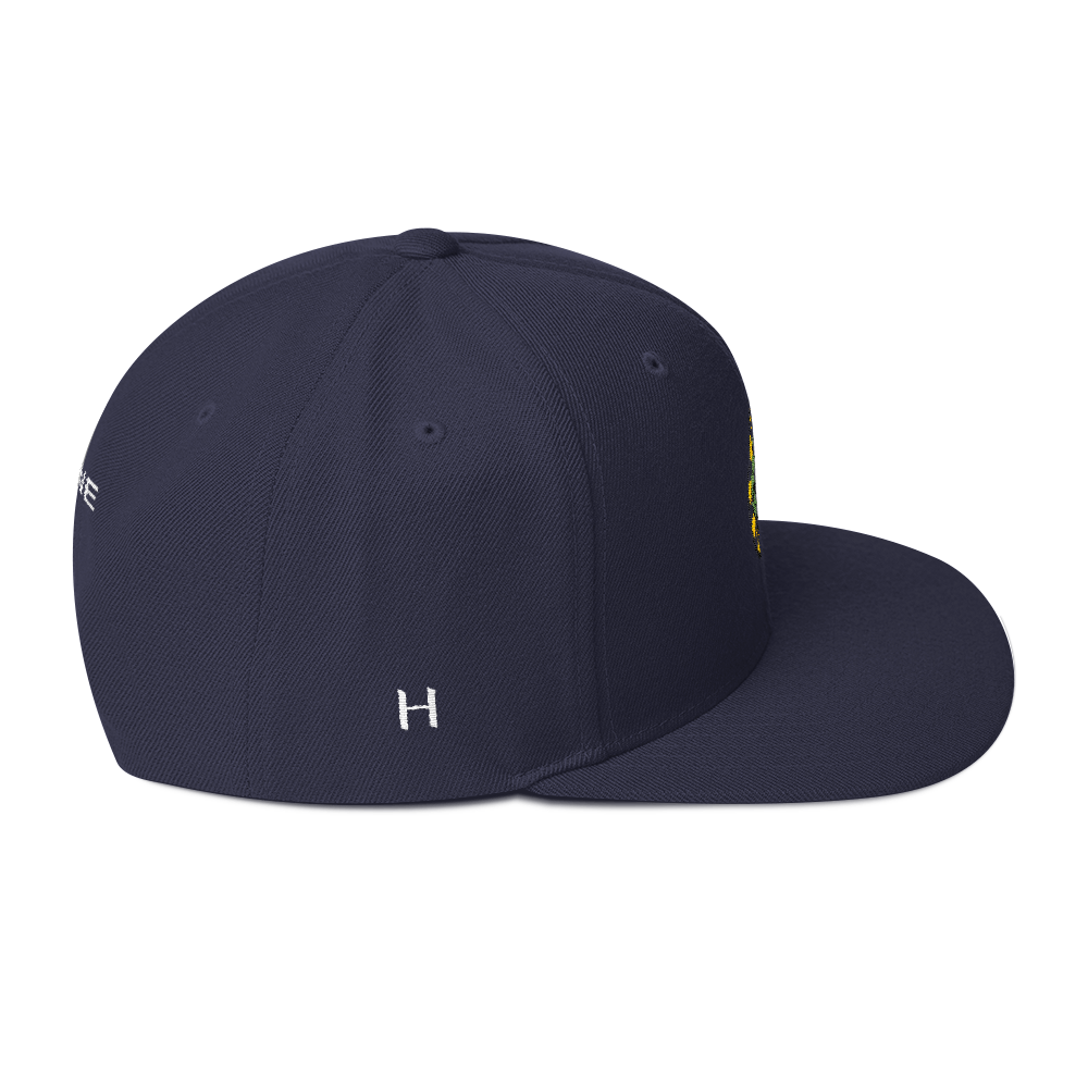 NERD Brain logo embroidery Snapback Cap. Pharrell Williams, Chad Hugo & Shay Haley.-Bootlg