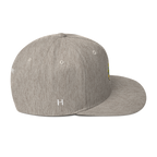 NERD Brain logo embroidery Snapback Cap. Pharrell Williams, Chad Hugo & Shay Haley.-Bootlg