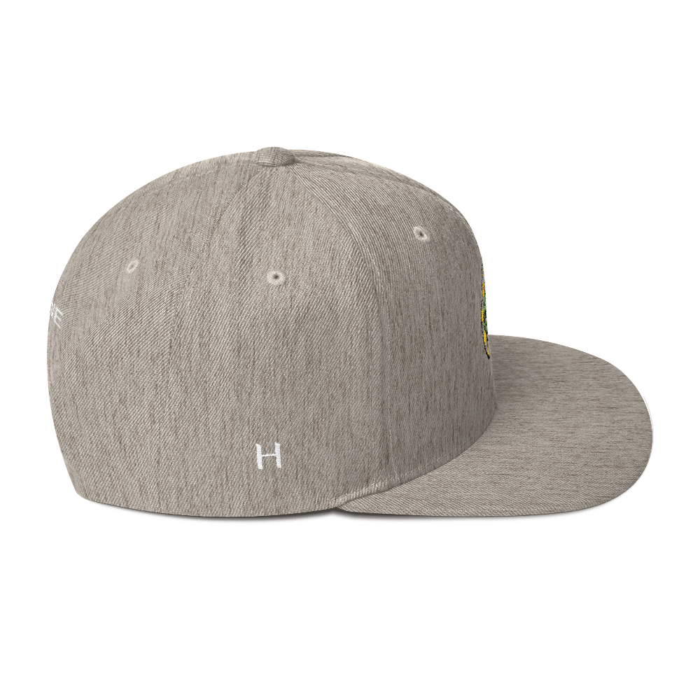NERD Brain logo embroidery Snapback Cap. Pharrell Williams, Chad Hugo & Shay Haley.-Bootlg